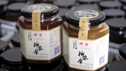 房县彦孜生物科技有限公司蜂蜜灌装生产线建成试投产